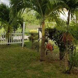 Cynson Guest house